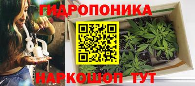 ешки Нарткала