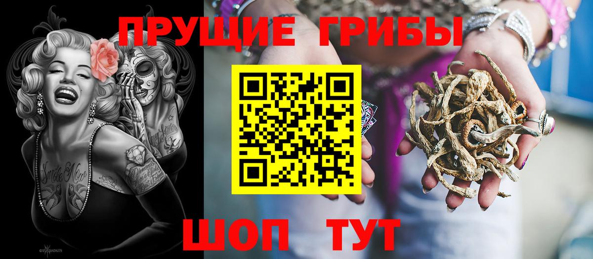Псилоцибиновые грибы мицелий  Вход с VPN  Сатка 